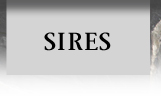 Sires