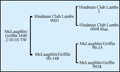 McLaughlin/Griffin 1640