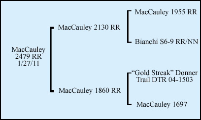 MacCauley 2479
