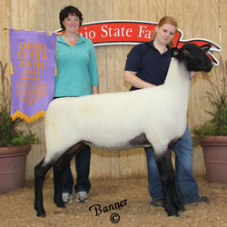 MacCauley Suffolks Winner